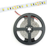 Avide ABLS24V2835-120NW20 LED Strip Power Supply 24V with Natural White Light Length 5m and 120 LEDs per Meter SMD2835