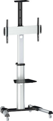 Equip Display TV Cart 650602 TV Mount Floor up to 70" and 50kg