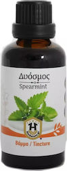 Herbstore Tincture Spearmint Tincture 50ml