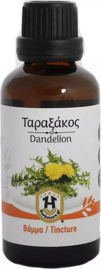 Herbstore Tincture Dandelion Tincture 50ml