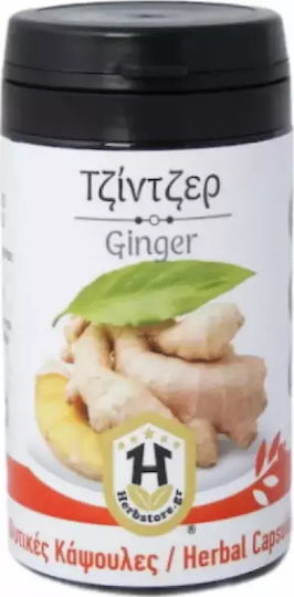 Herbstore Τζίντζερ 600mg 70 φυτικές κάψουλες