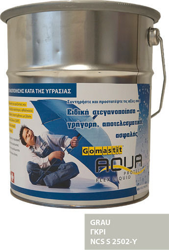 Gomastit Aqua Protect Flex Liquid Σφραγιστική Σιλικόνη Γκρι 6kg