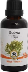 Herbstore Tinctură Thuja Picături 50ml Herbstore Tinctură Thuja Picături 50ml