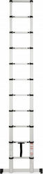 Wolfgang Telescopic Aluminum Ladder 11 Steps Wolfgang Telescopic Aluminum Ladder 11 Steps