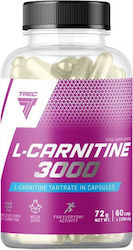 Trec L-Carnitine Tartrate 3000 60 Капсули Trec L-Carnitine Tartrate 3000 60 Капсули