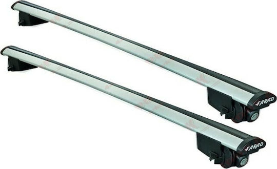 Farad Autodachträger Aluminium SM 054 für Volkswagen Tiguan 2007+ mit Dachträgerfüßen und Schloss Silber SM 054