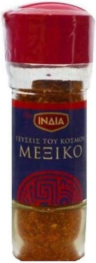 India Geschmäcker der Welt-Mexiko 40gr