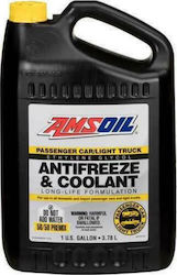 Amsoil Αντιψυκτικό Παραφλού Ψυγείου Αυτοκινήτου 3.78lt