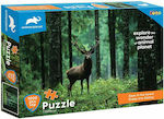 Animal Planet Ελάφι Στο Δάσος Puzzle 2D 1000 Pieces