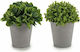 Изкуствено растение в саксийка Green 15см Ibergarden