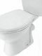 Gloria Plastic Soft Close Toilet Seat White Eco 43cm