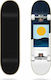 Tricks Skate Sea 8" Complete Shortboard Πολύχρωμο
