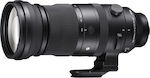 Sigma Full Frame Camera Lens 150-600mm f/5-6.3 DG DN OS Sports Tele Zoom for Sony E Mount Black