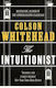 The Intuitionist