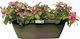 Quality Laura Taupe Planter Box 50x16cm in Brown Color 270511085