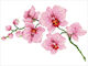 Diamond Dotz Ψηφιδωτό - Orchid Spray