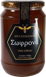 Melissokomia Sofrona Honey Fir 950gr