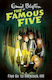 The Famous Five, 16: Five go to Billycock Hill