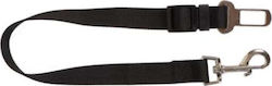 Rac Seatbelt
