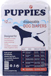 Puppies Large Diaper Pants Dog 16-25kg Large 12pcs