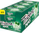 Trident Max Frost 16x20gr