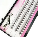 More Than Lashes Individual Eyelashes 11mm