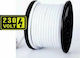 Universe Αδιάβροχη Ταινία LED 220V Μωβ Φως 1m Neon Flex