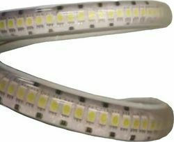 Universe Водоустойчива LED Лента 220V Топло бяло Светлина 1м Неон Флекс