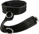 Saxos Deluxe Collar Halsband in Schwarz Farbe