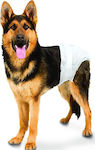 Dog Diaper Pants 12pcs