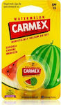 Carmex Jar SPF15 Lip Balsam SPF15 Pepene verde 7.5gr