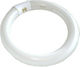 Elvhx Leuchtstofflampe für Fassung G10Q mit Form T9 22W