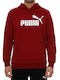 Big Logo Men's Sweatshirt with Burgundy Hood