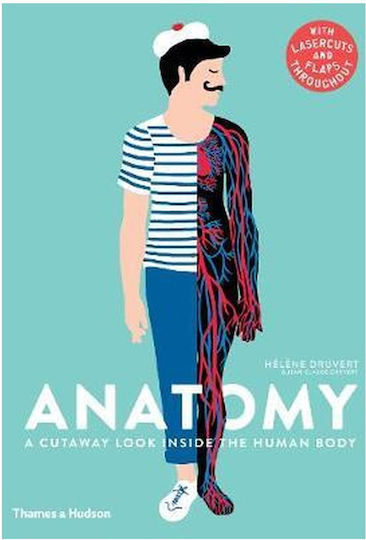 Anatomy, A Cutaway Look Inside the Human Body Anatomy, A Cutaway Look Inside the Human Body