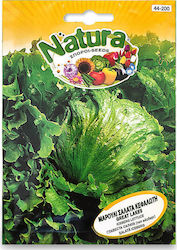 SEED SALAD HEADER GREAT LAKES- NATURA