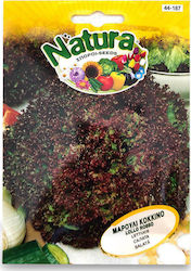 LOLLO ROSSO- NATURA RED LOLLO ROSSO- NATURA