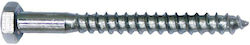 F.F. Group Antrenor Screw Hexagonal Galvanizat DIN 571 cu Diametru M10 și Lungime 60mm 100buc