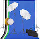 vidaXL Photography & Video Lighting Kit 2 Lights 24W 5500K With Tripod
