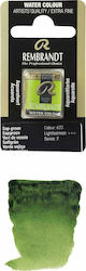 Royal Talens Rembrandt Watercolour Green