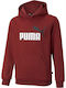 Kids Sweatshirt with Hood and Pockets Burgundy Essentials 2