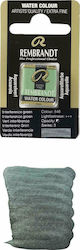 Royal Talens Rembrandt Watercolour Green