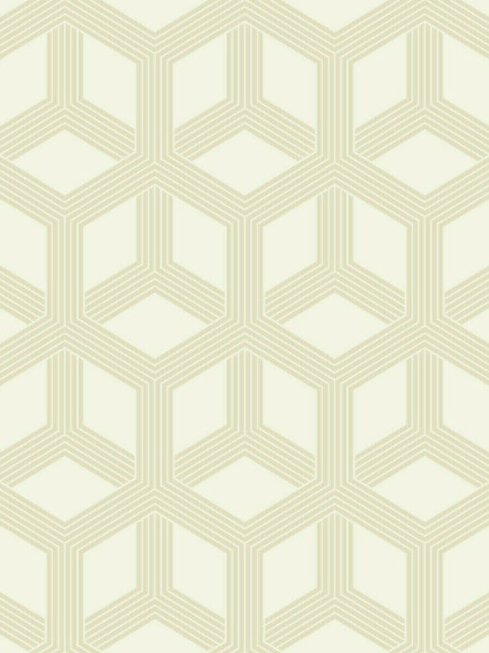 Wallpaper Galactik Vinyl Beige L1000xW53cm Washable