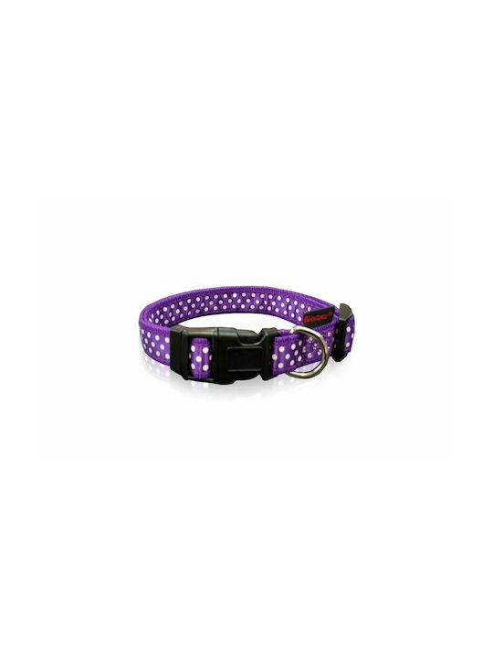 Pet Interest Dots Line Dog Collar In Purple Colour Small 15mm x 22 - 40cm