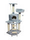Pet Interest Tarzan Ονυχοδρόμιο Γατόδεντρο Γκρι 5 επιπέδων 81x63x120εκ.