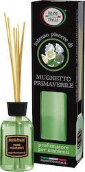 Brand Italia Difuzor Crin de primăvară 100ml Brand Italia Difuzor Crin de primăvară 100ml