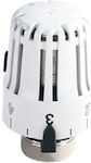 Thermostatic head Pintossi