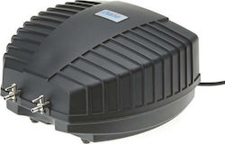 Oase AquaOxy 1000 Aquarienluftpumpe Doppelauslass Oase AquaOxy 1000 Aquarienluftpumpe Doppelauslass