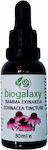 Biogalaxy Βάμμα Εχινάκεια 30ml