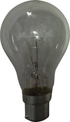 Leuci Special Workshop Lamp 60W
