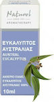 HealthTrade Essential Oil Eucalyptus 10ml